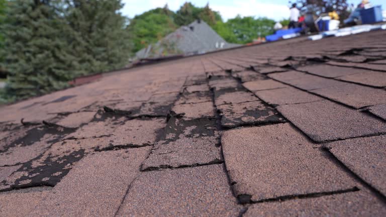 Best Metal Roofing Installation  in USA